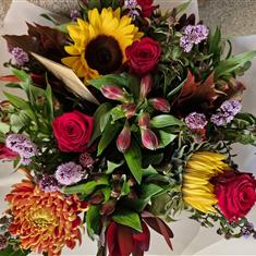 autumn sunflower mix 
