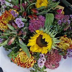 autumn purple mix