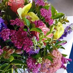 vibrant orchid mix