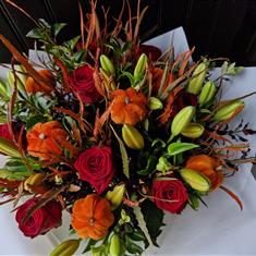 rose,lillie &amp; pumkin mix