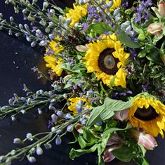delphinium &amp; sunflower mix